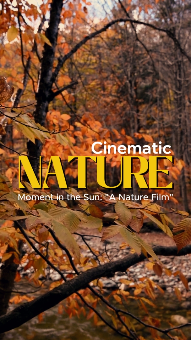 Cinematic Nature