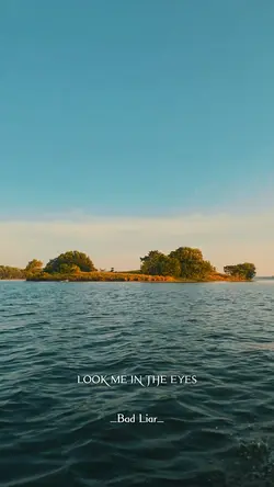 BAD LIAR