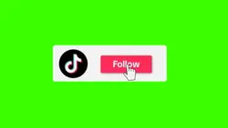 tiktok follow button