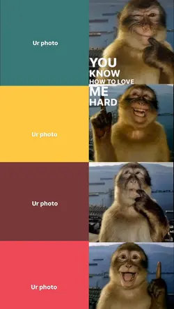 trend poto monkey