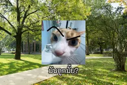 เราด่ากันเขาเกี่ยวไร