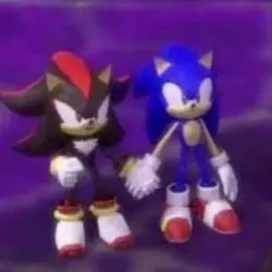 sonic and shadow