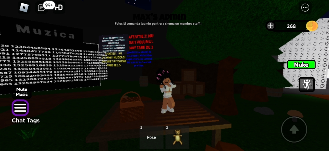 pe max admin