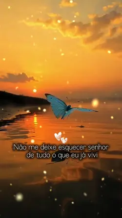 Viverei milagre