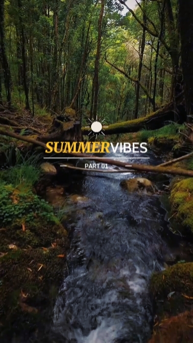 Vacances d'été Vlog