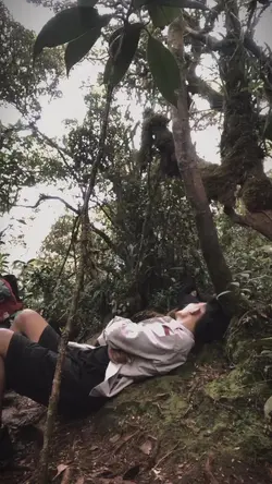 vibes hutan