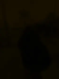 Hmoob