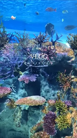 シンプルVLOG🚗³₃