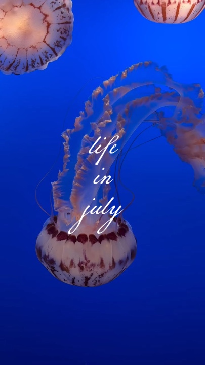 Leben im Juli
