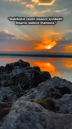 Yeni Şablon