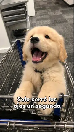 Solo cerré los ojos.