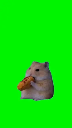 Hamster eating