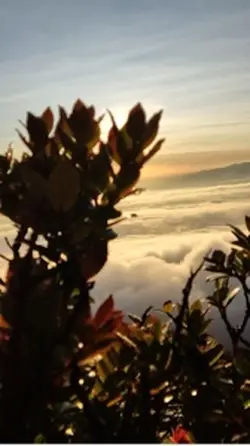 Hiking, Gunung