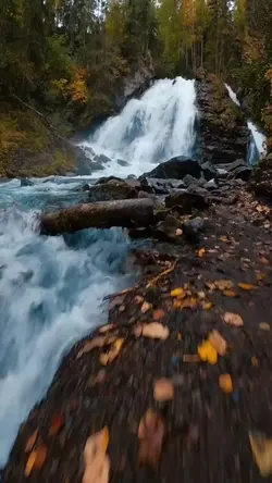 13 video or photo