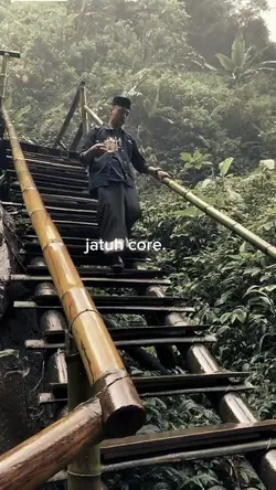 jatuh core
