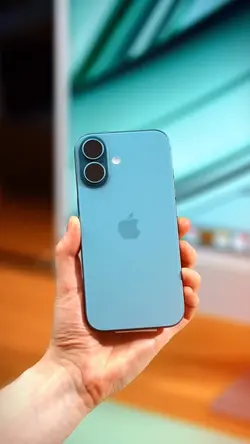 Marketing Divulgação