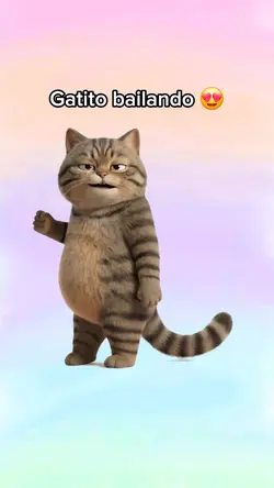 Gatito bailando