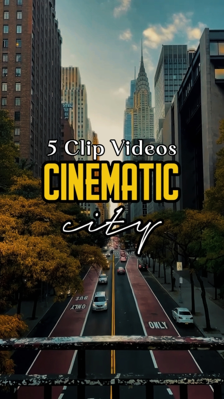 CINEMATIC CITY 12