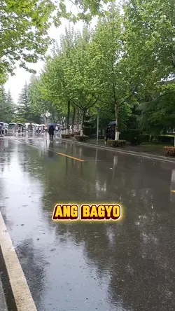 bagyo