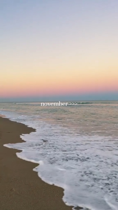 Dépôt de novembre