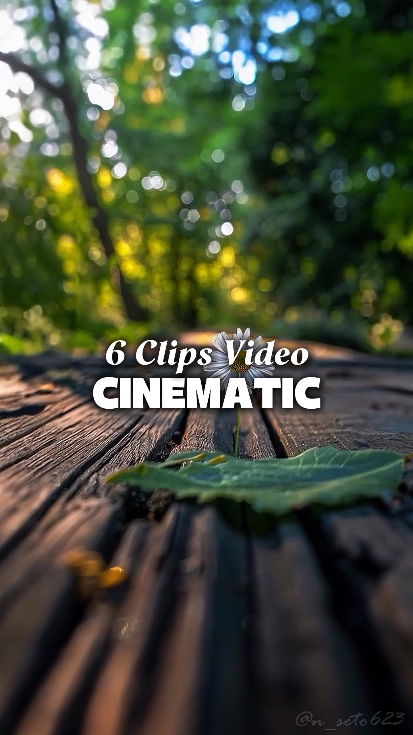 6 Videos Cinematic 