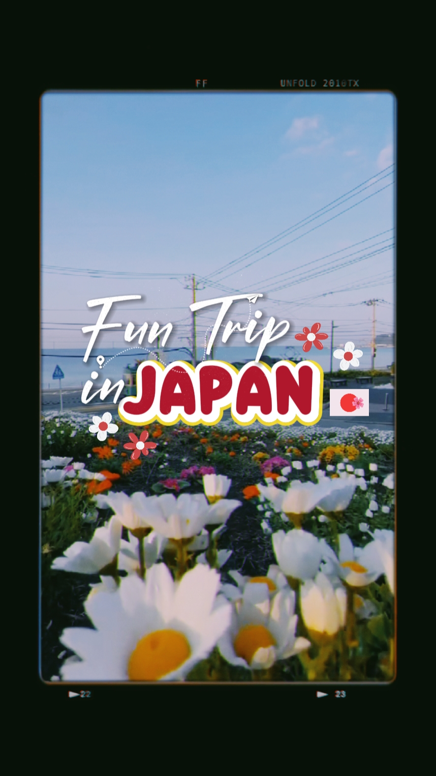 Viaje en Japón