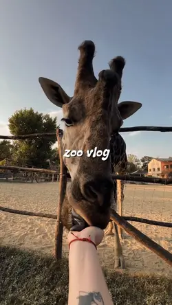 Zoo Vlog