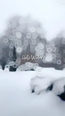 Hello Winter ❄️