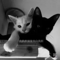 管他天氣好不好 宋雨琦幸福好不好