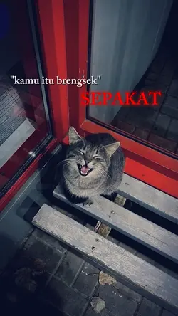quotes