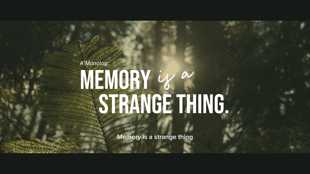 Monolog: Memori 