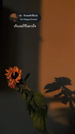 รักเธอหัวทิ่มบ่อ