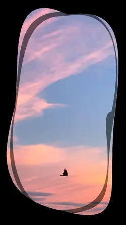 Frame Aesthetic