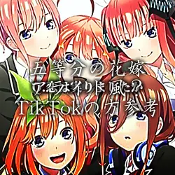 TikTokの方参考