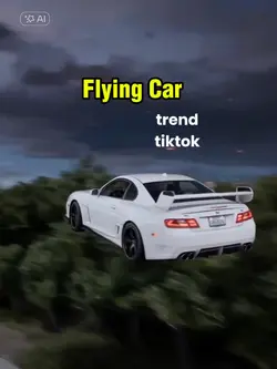 Flying Car