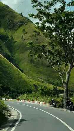 sinematik hd
