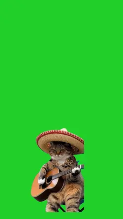 cat playing guitar