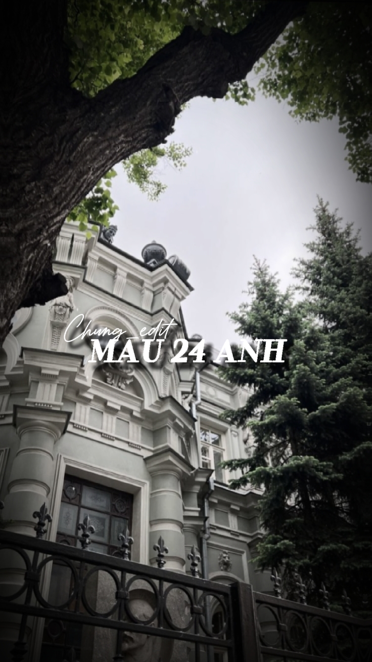 Mẫu 24 ảnh