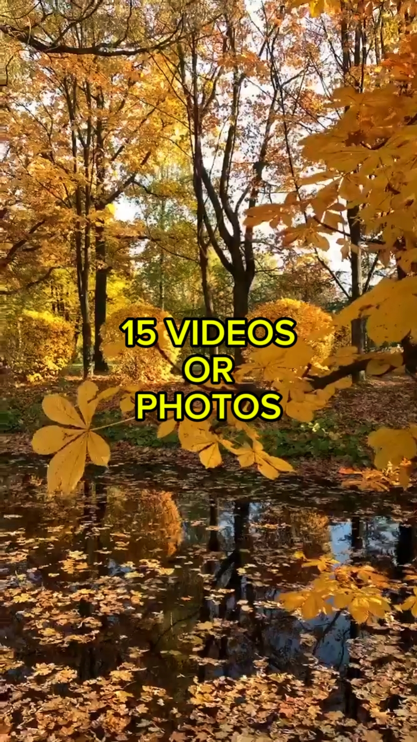 Hojas de Otoño