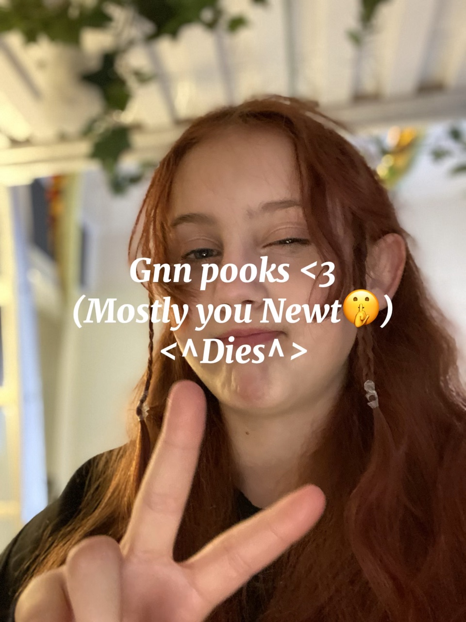 GNN<33
