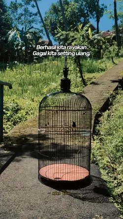 bahan story