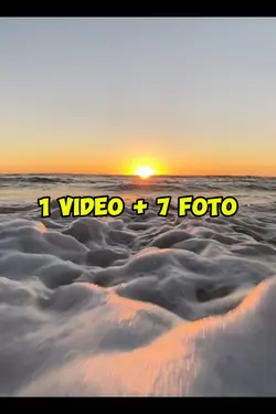 1 video 7 foto