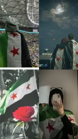 قوالب ترند تصميم 