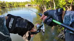 Ikan Baronang