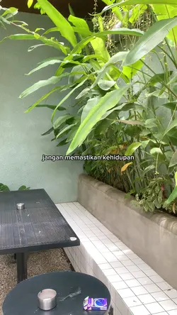 caknun kehidupan