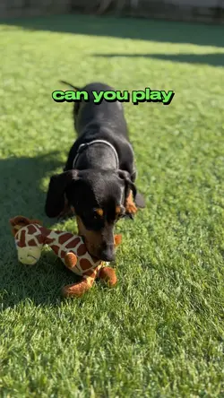 Play with me