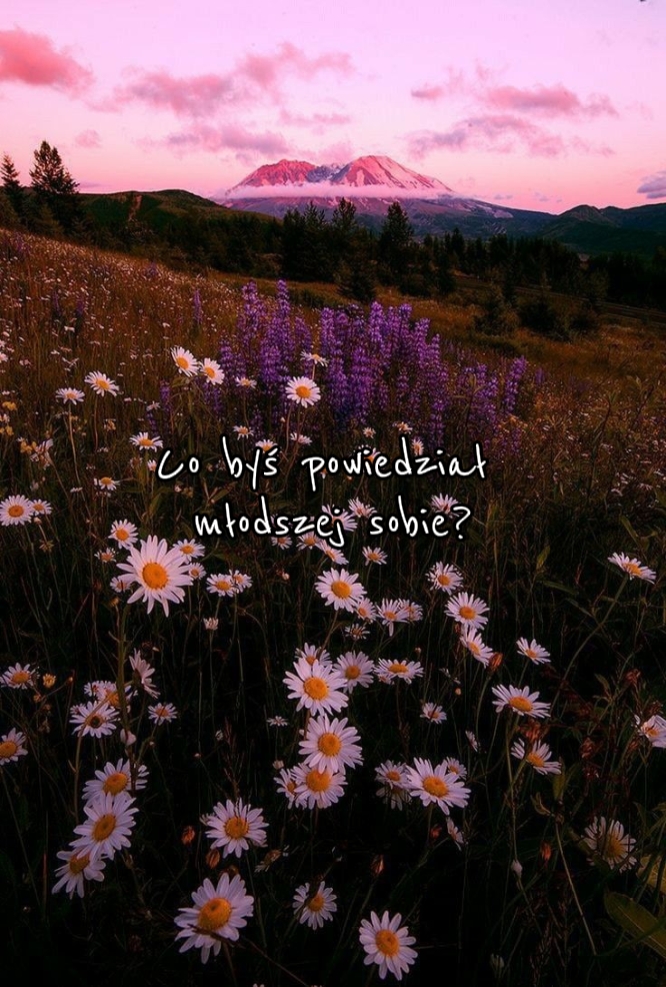 Co byś powuedział