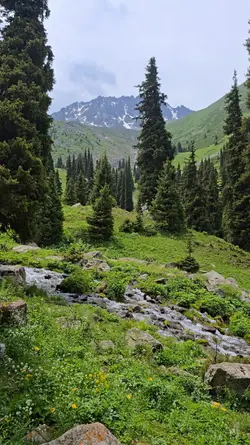 4K QUALITY NATURE