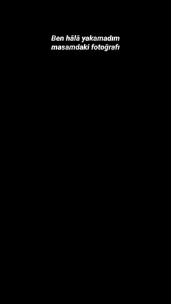 Viral Şablon