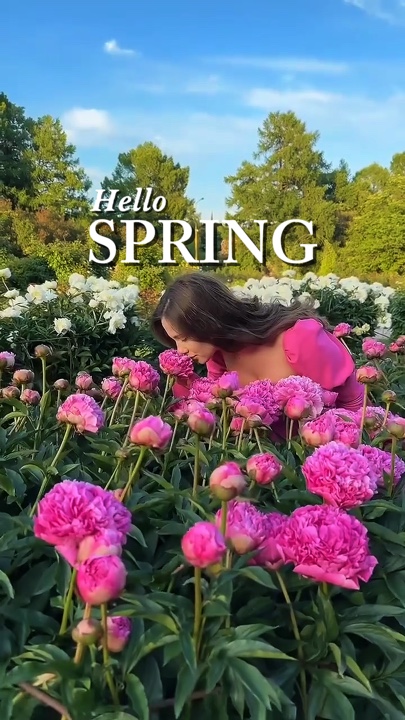 Hola PRIMAVERA🌸 